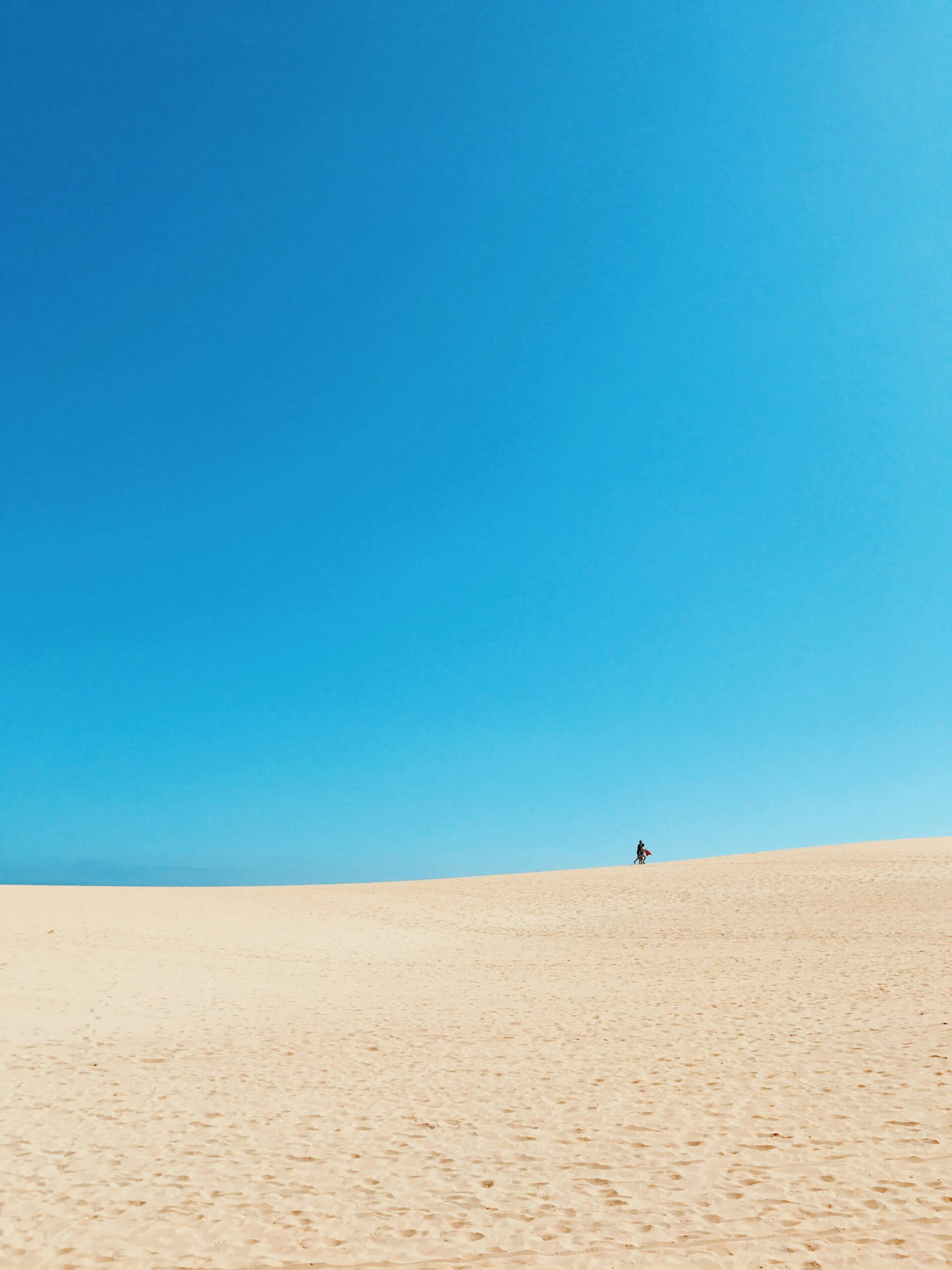In den Kammern des Sandes